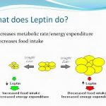Does insulin resistance cause weight gain